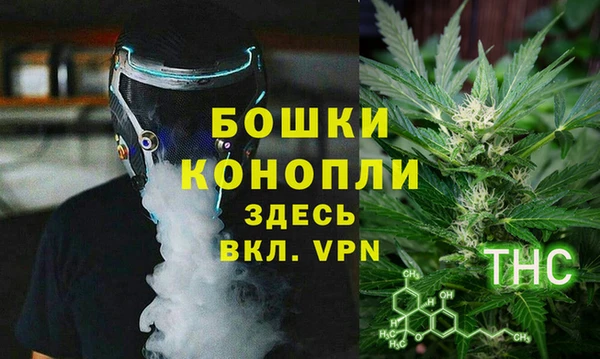 трава Аркадак