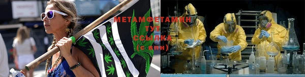 трава Аркадак
