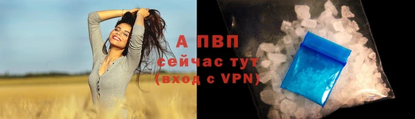 трава Аркадак