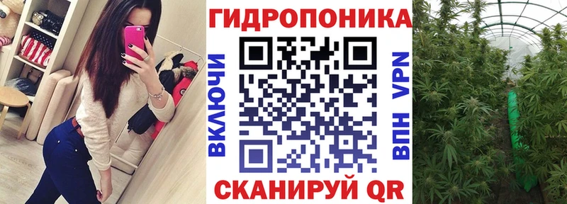 даркнет сайт Котельниково Бошки Шишки ГИДРОПОН